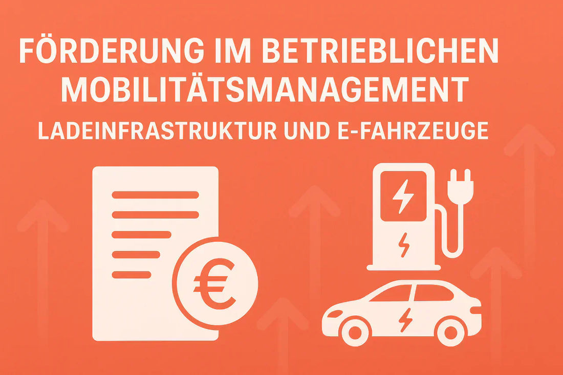 Breitenförderung 2025: Zuschüsse für E-Fahrzeuge und Ladeinfrastruktur im Betrieblichen Mobilitätsmanagement