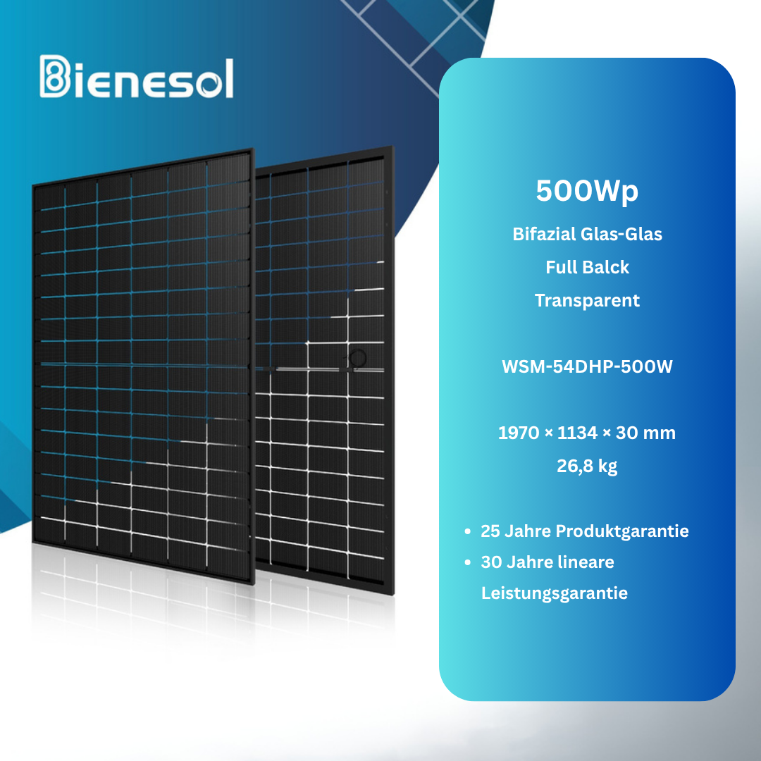 Bienesol WSM-54DHP-500W